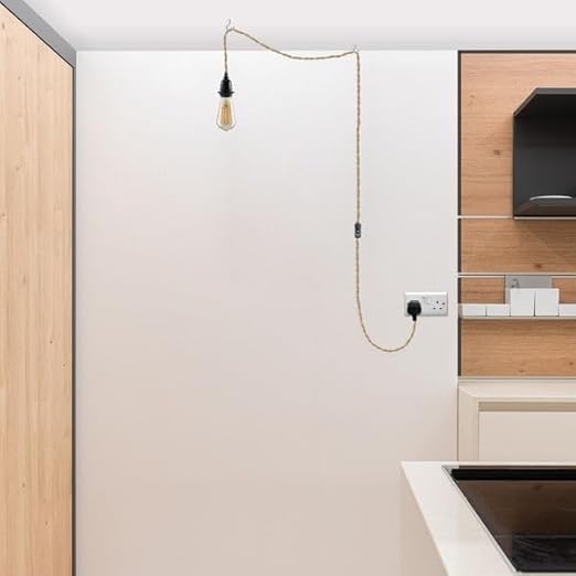 LEDSone Plug-In Hanging Pendant Light with Inline Switch in Black & Hemp~4554