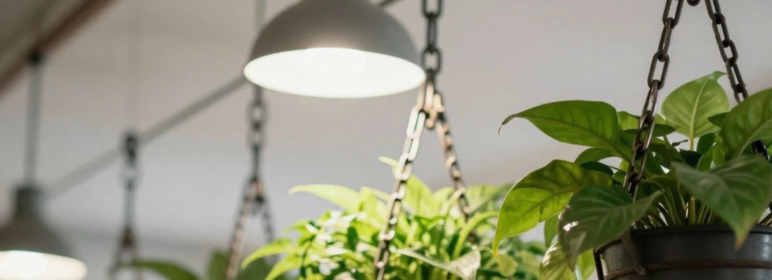 Best Heavy Duty Hanging Chains for Plants & Ceiling Lights in the UK