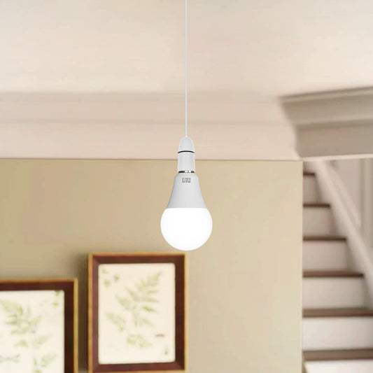Warm white LED light bulb  