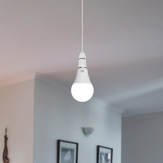 Warm White LED Light Bulb