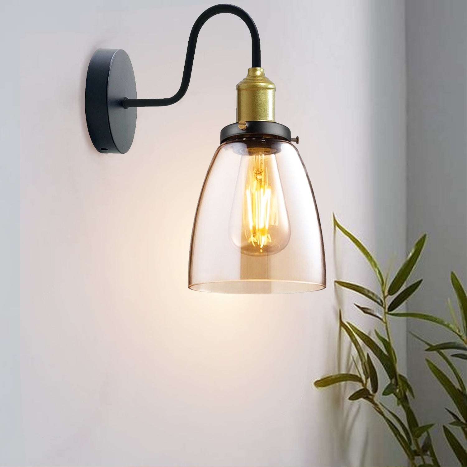 swan neck glass Lampshade glass wall light