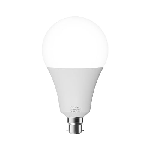 LED Bayonet A95 22W Energy Saving Bulb ~6909