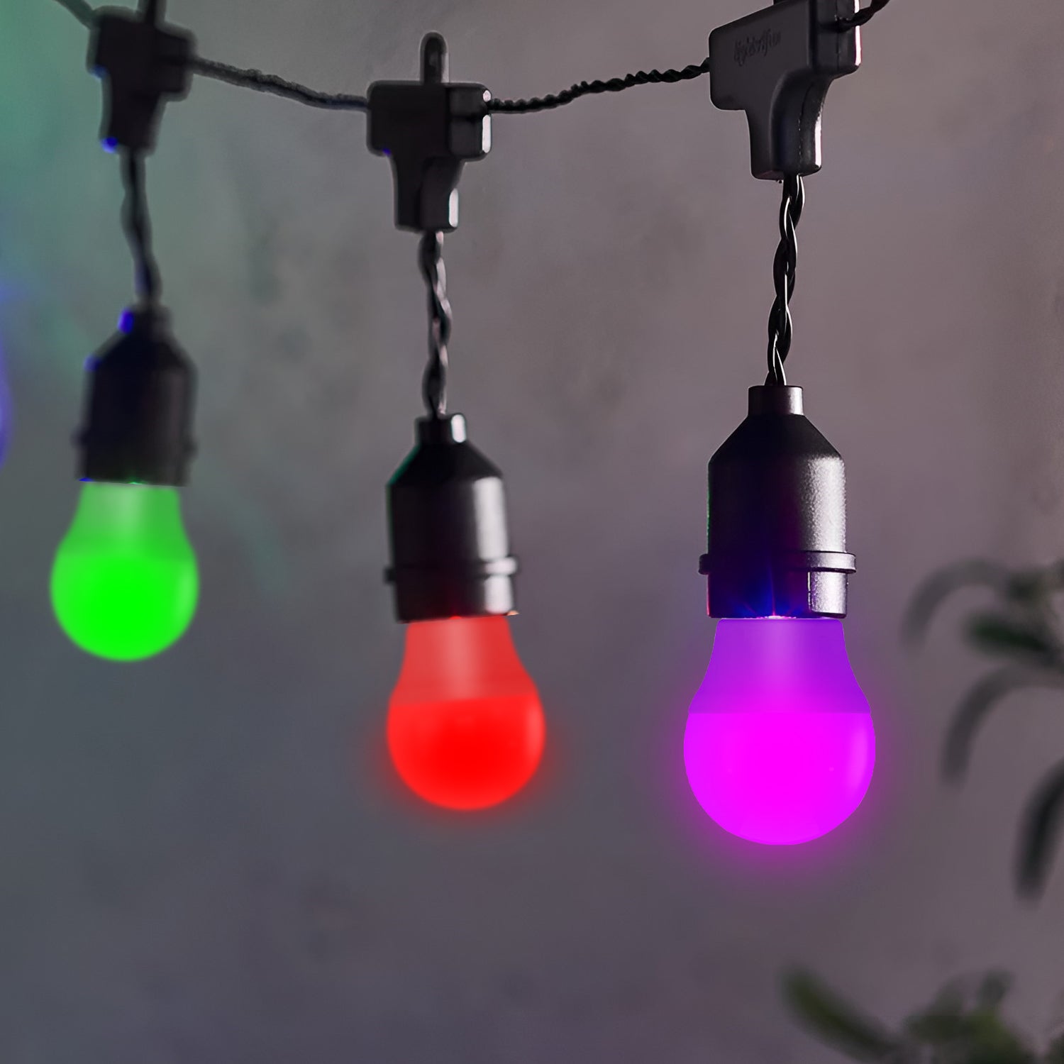 Coloured bulb