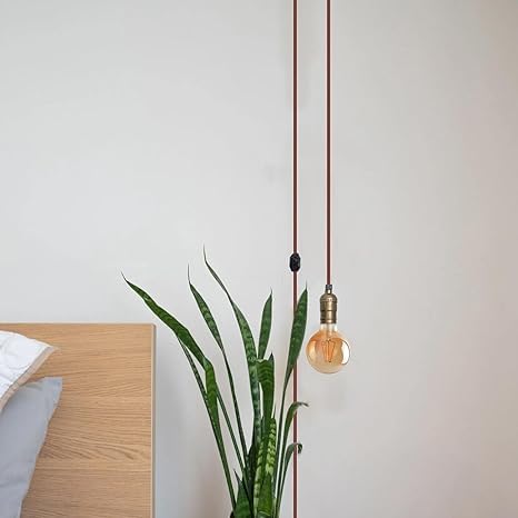 plug light kit pendant in