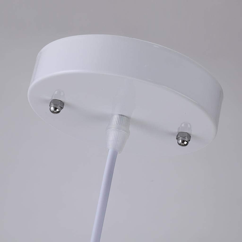 Ceiling light fixture