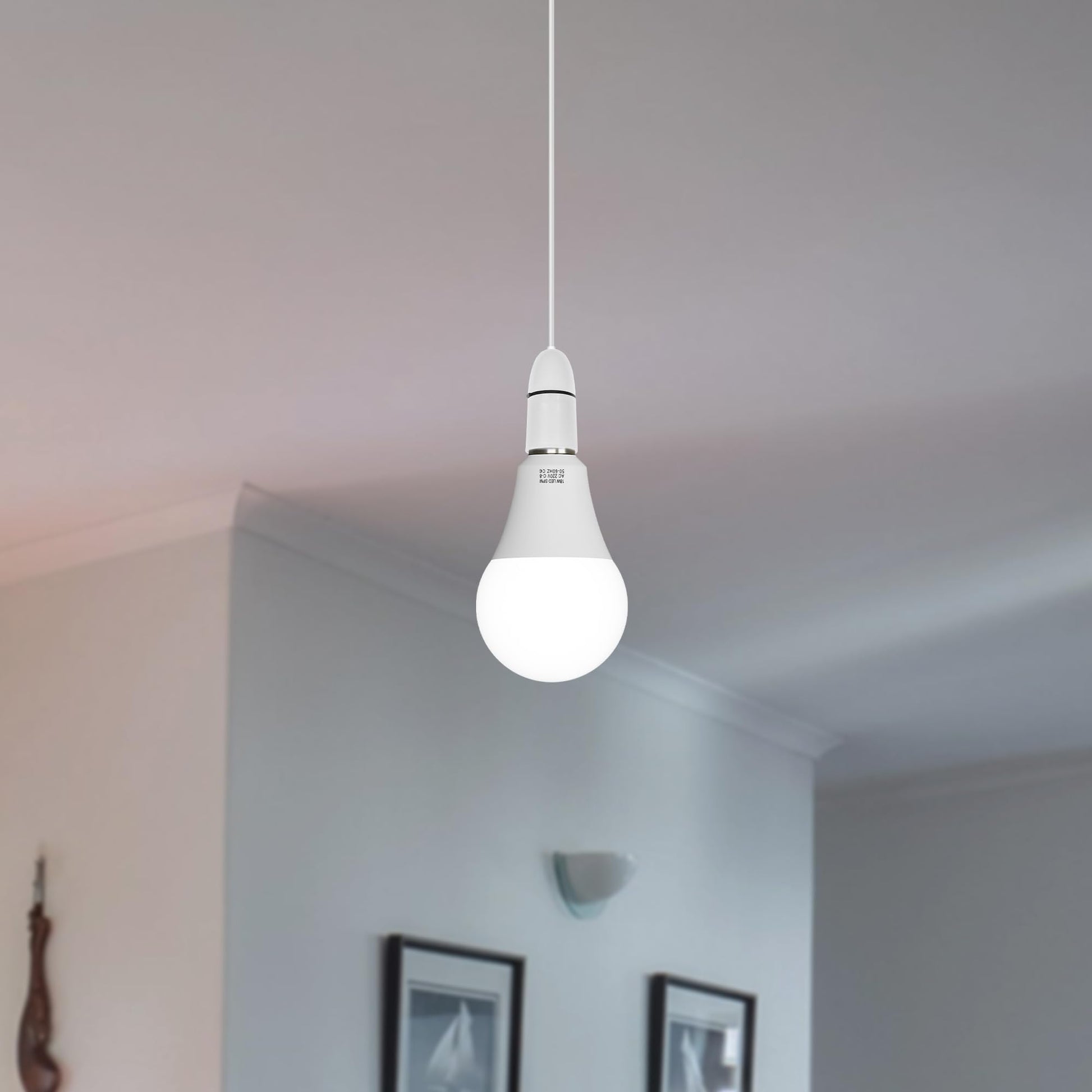b22 9w f non-dimmable 22w