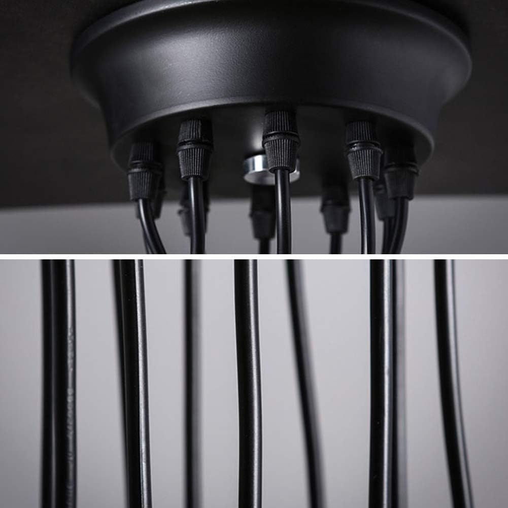 light garden ceiling spider
