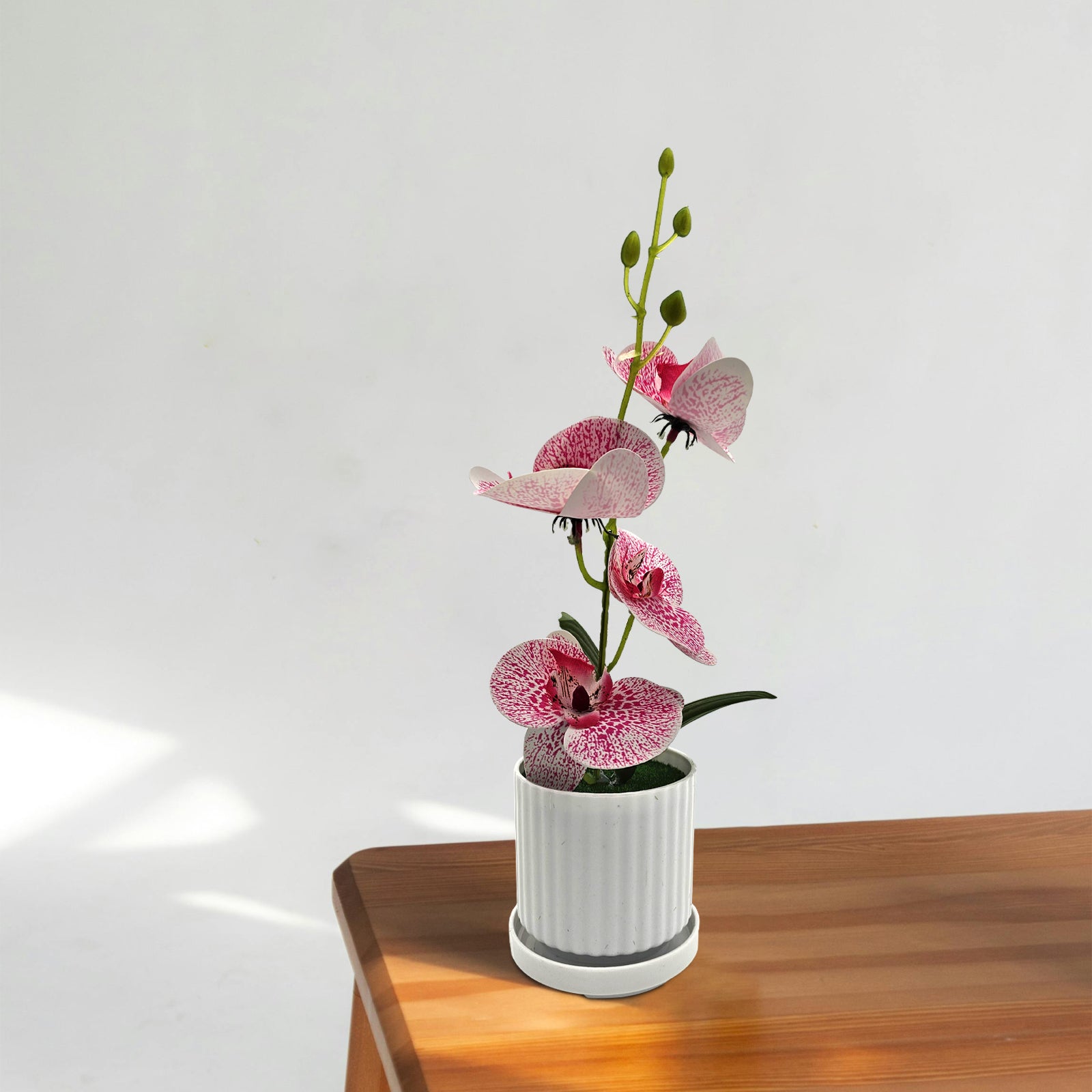 Artificial Orchid  Plant