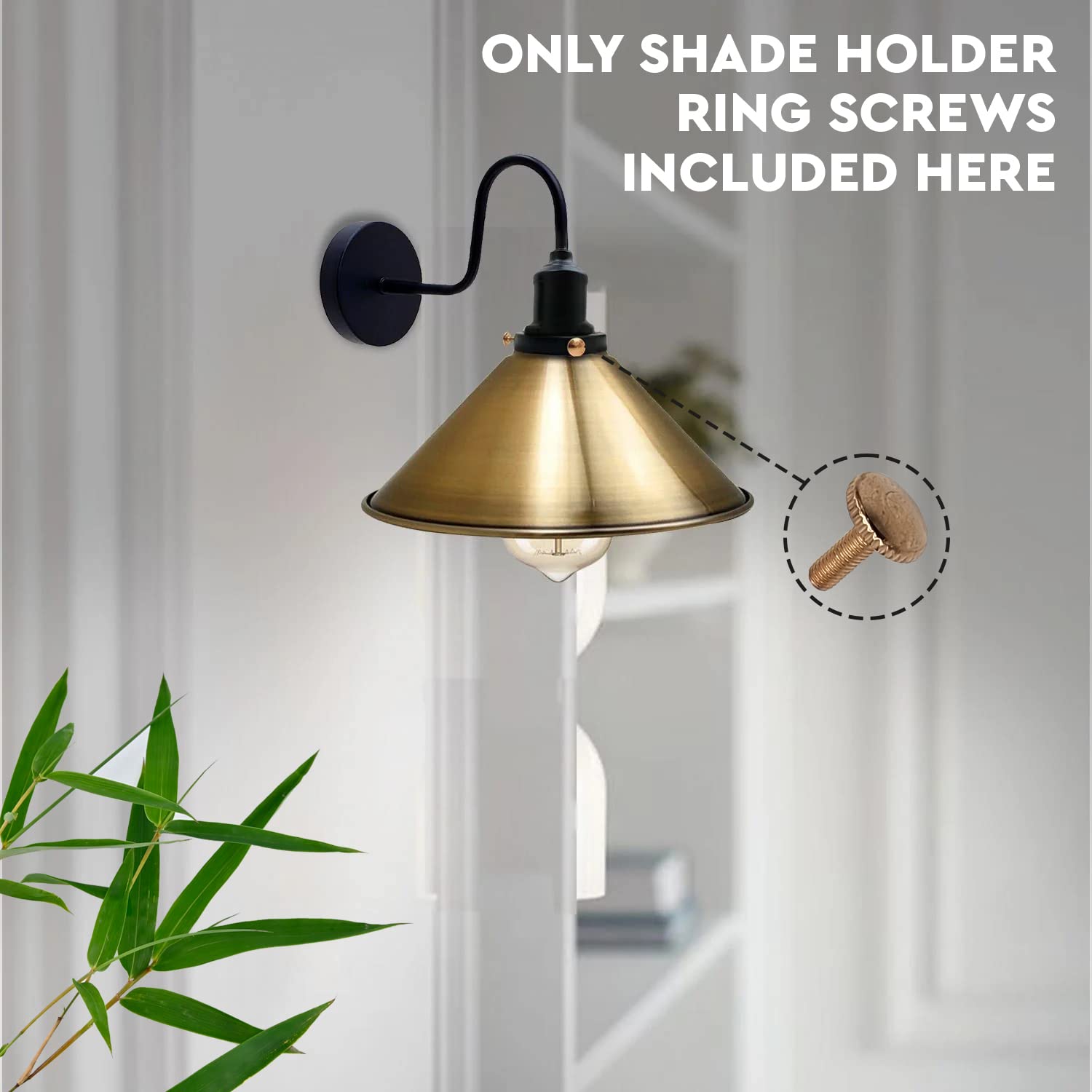 wood screws brass head m6