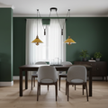 2 Light Spider Pendant Hanging Lamp ~6507