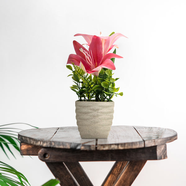 Outdoor String Lights