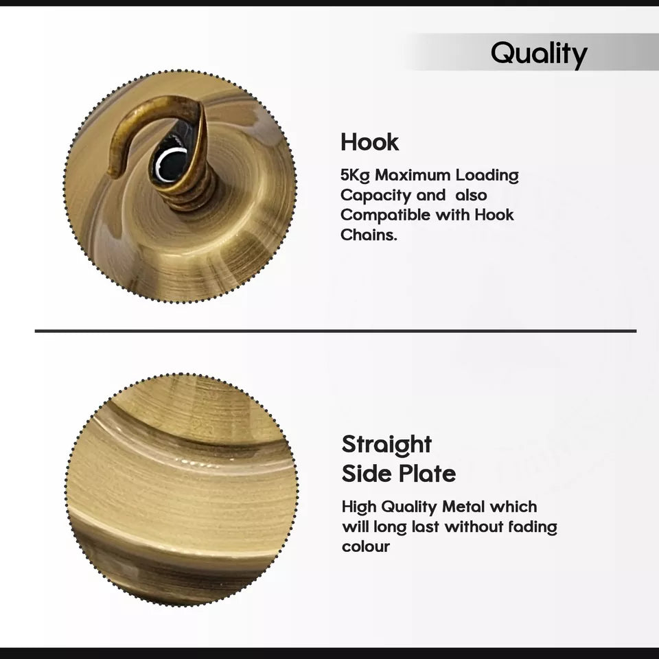 Ceiling hook for plant hanger