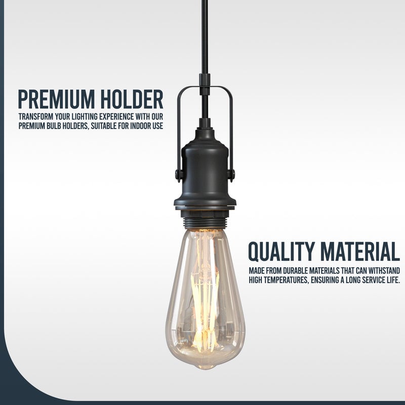 Vintage-style light bulb with black holder