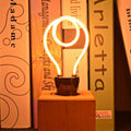 Vintage Neon Filament LED Bulb E27 Dimmable Polycarbonate 4W ~5628