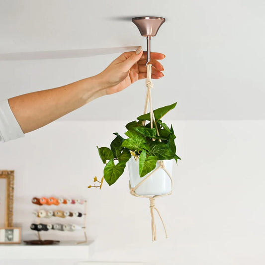Copper metal ceiling rose hook light fitting used as a ceiling mount for hanging indoor plants in macramé holders