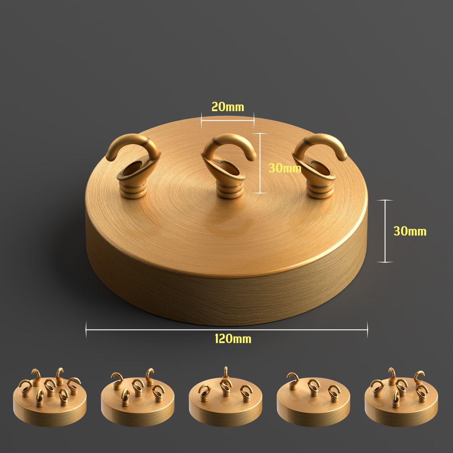 plastic ceiling rose with bayonet bulb holder for pendant lights