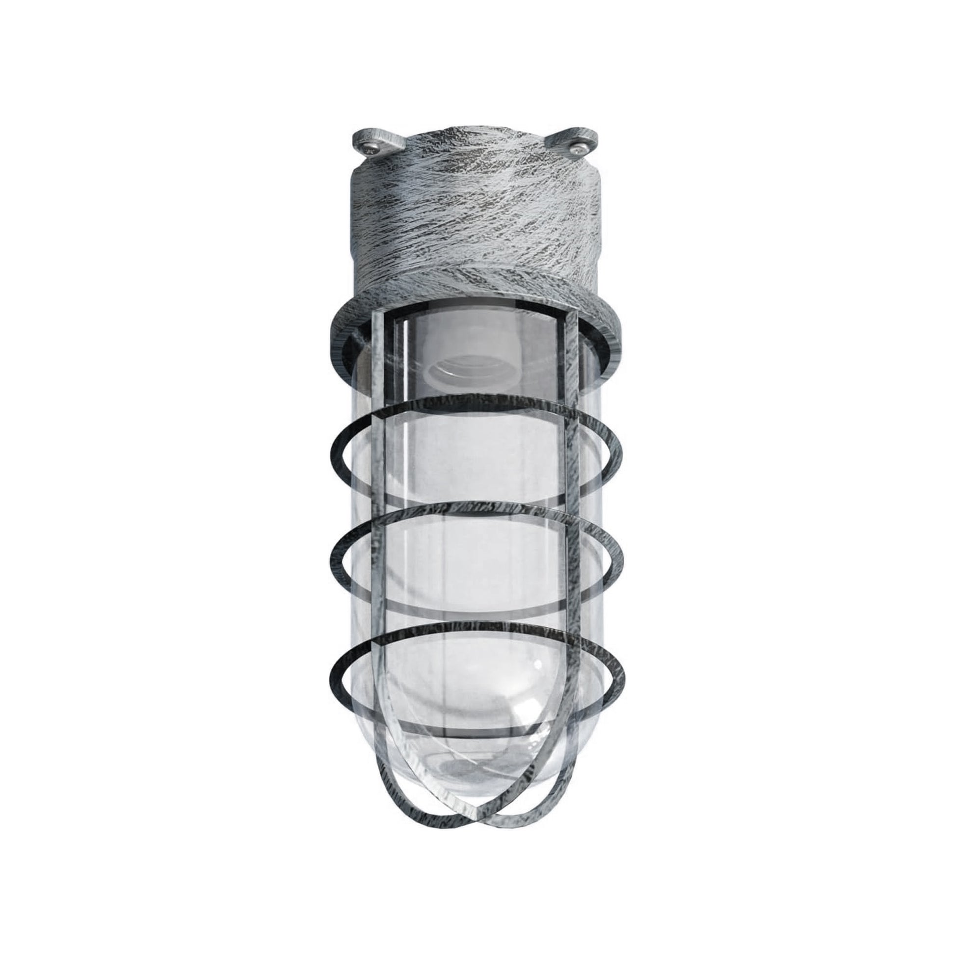 Brushed Silver Outdoor Oval Caged Bulkhead Wall Light