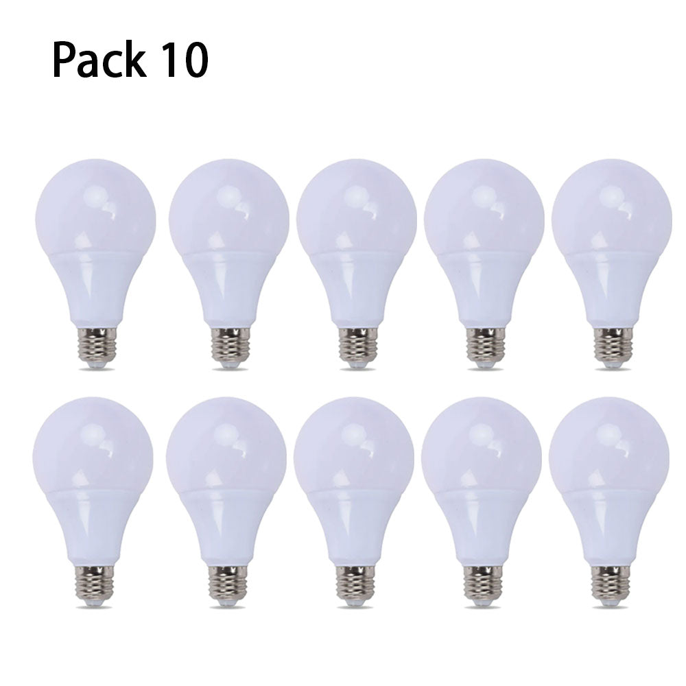 Ten pack Bulb