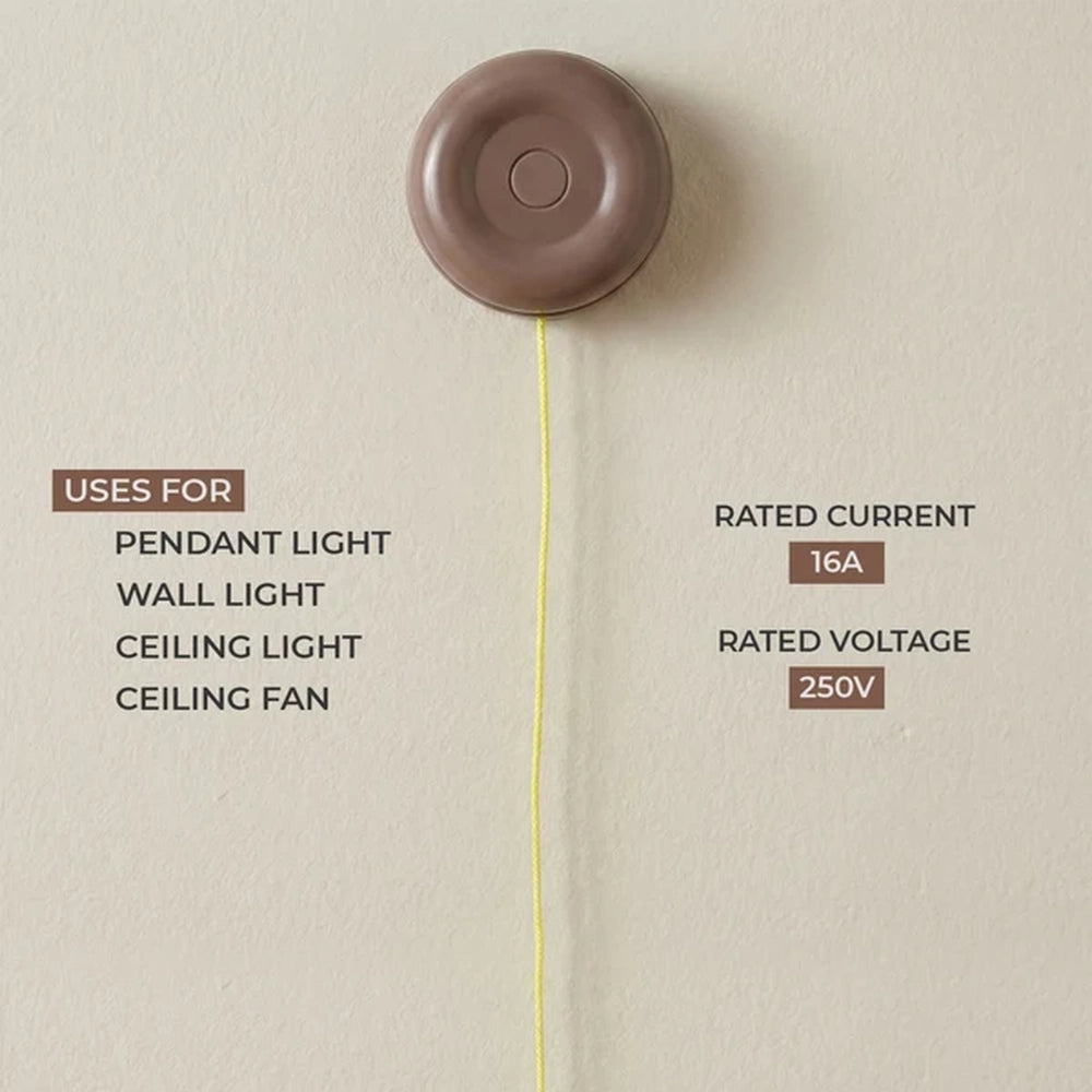 pull switch fixed to a wall with uses and 16A 250V rating
