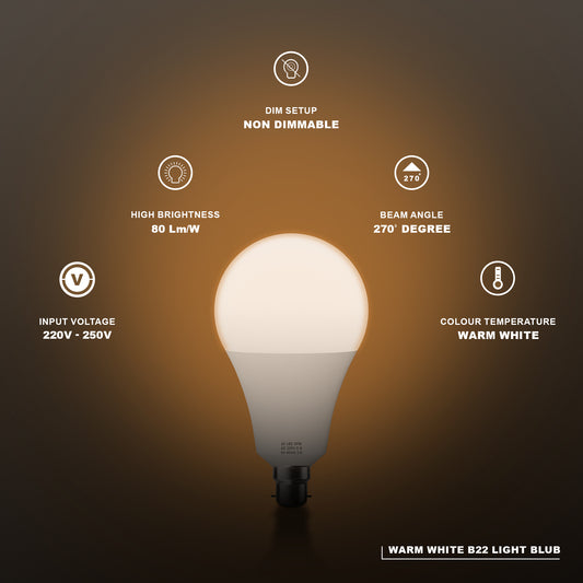  LED Light Bulb
