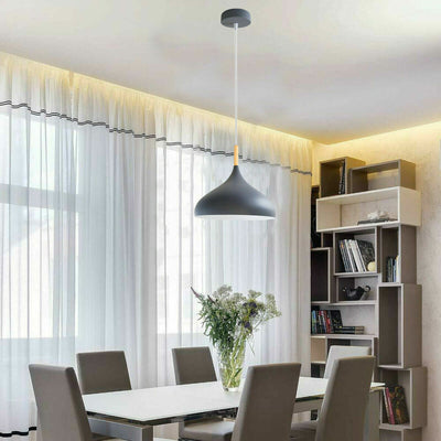 Modern Ceiling Pendant Light Metal Colour Shade Hanging Lamps ~5305