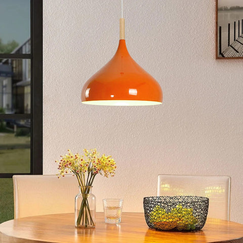 Retro Orange Ceiling Wall Lamp Shade Pendant Light~4966