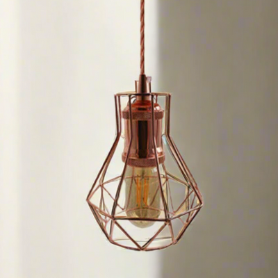 Ceiling Light Shades Wire Cage Shade~1280