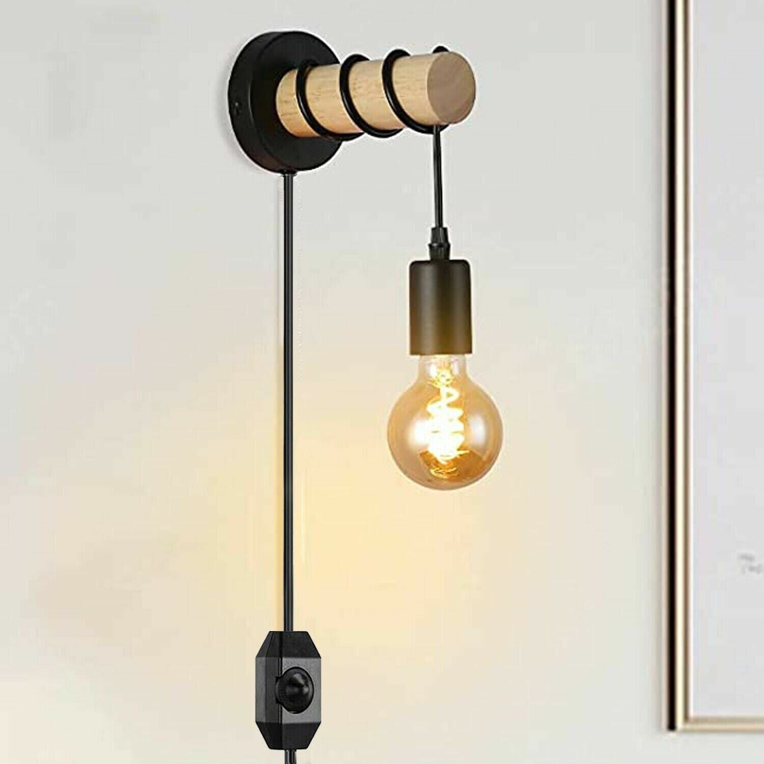  plug-in light fixture 