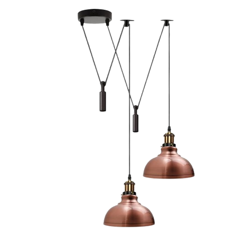 2 Head Ceiling Pendant Spider Light, 29cm Metal ~6147