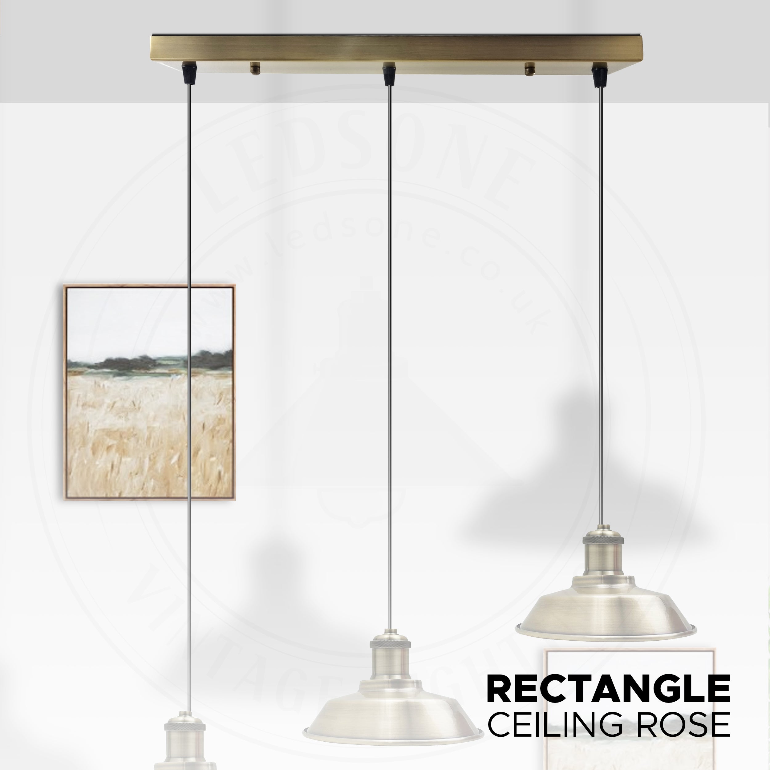 Modern ceiling deals rose pendant