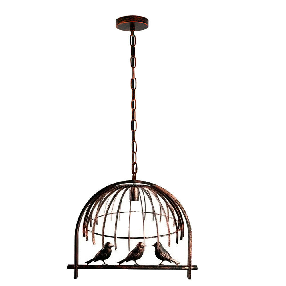 Birdcage pendant store light chandelier