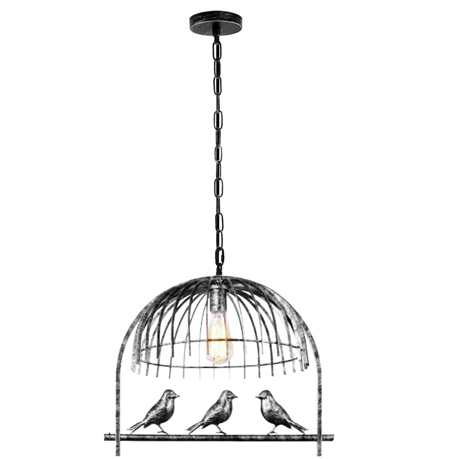 Bird Cage Ceiling Pendant hanging light with free bulb