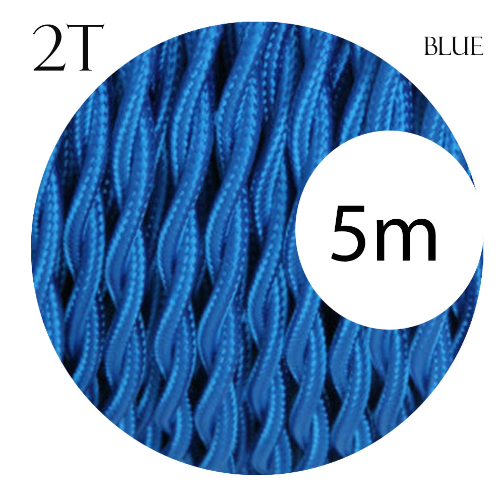 Blue 2 Core twisted cable.JPG