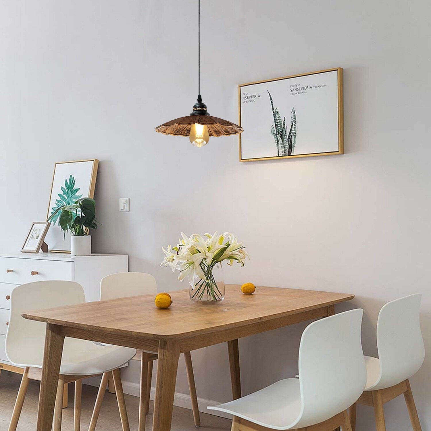 2 pendant lights over store dining table