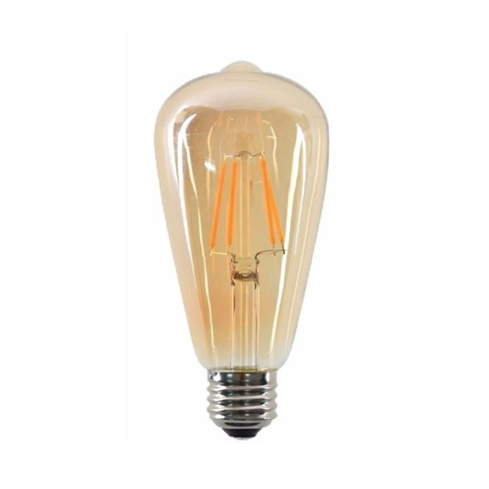 incandescent vintage light bulb